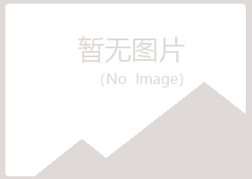 东方夏岚工程有限公司